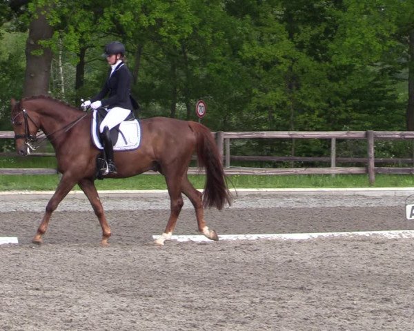 Reitturnier Schwanewede 2021