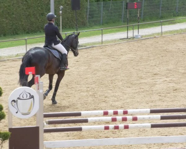 Reitturnier Zoltingen/Schw. 2021