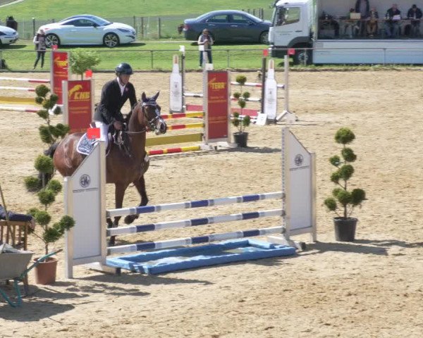 Reitturnier Zoltingen/Schw. 2021