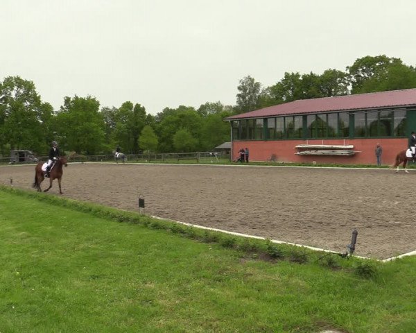 Reitturnier Schwanewede 2021