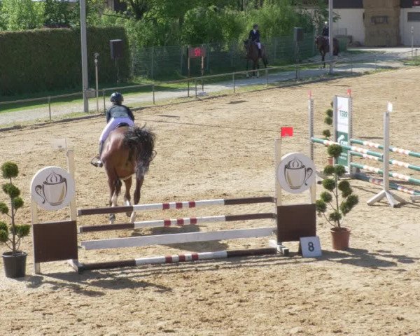 Reitturnier Zoltingen/Schw. 2021
