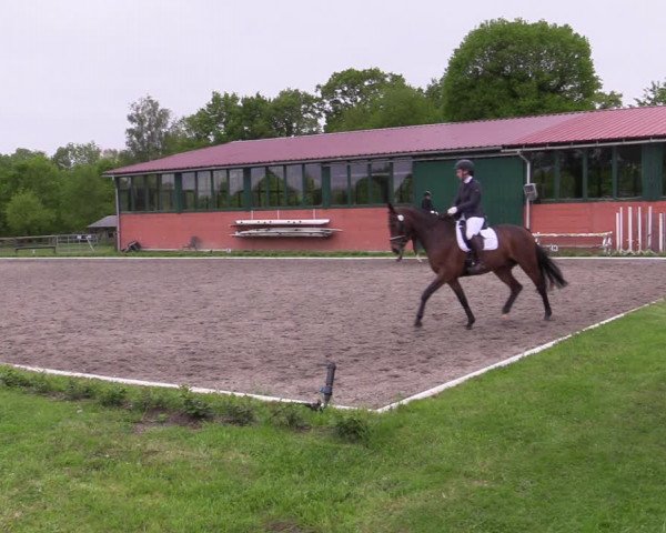 Reitturnier Schwanewede 2021
