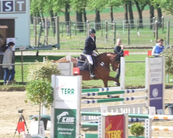 Reitturnier Zoltingen/Schw. 2021