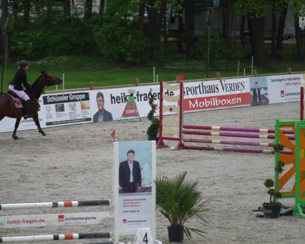 Reitturnier Westergellersen 2021