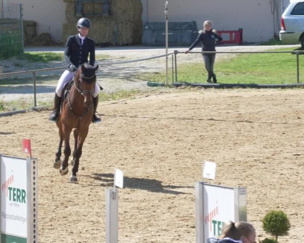 Reitturnier Zoltingen/Schw. 2021