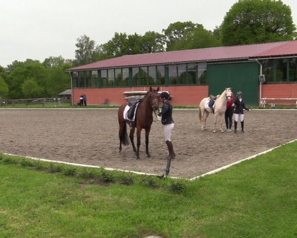 Reitturnier Schwanewede 2021