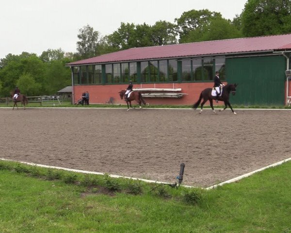 Reitturnier Schwanewede 2021