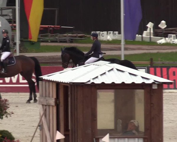 Reitturnier Westergellersen 2021