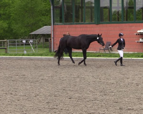 Reitturnier Schwanewede 2021