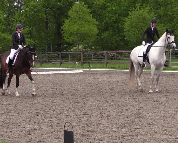 Reitturnier Schwanewede 2021