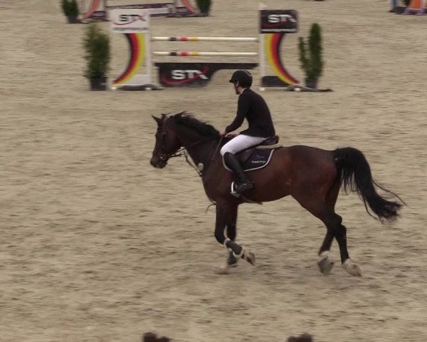 Reitturnier Westergellersen 2021