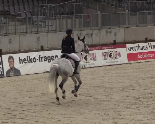 Reitturnier Westergellersen 2021