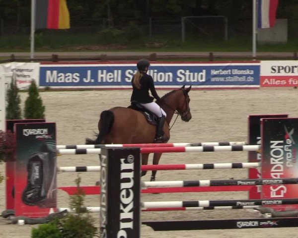 Reitturnier Westergellersen 2021