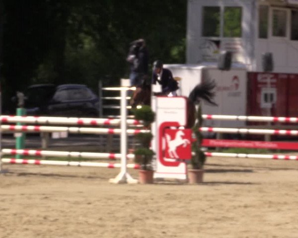 Reitturnier Münster-Handorf 2021