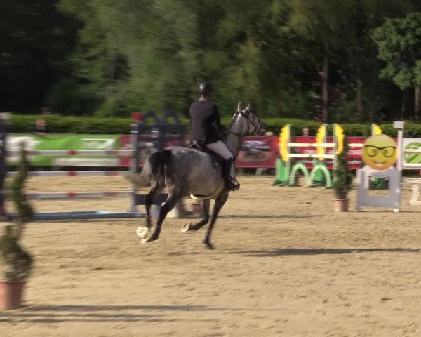 Reitturnier Münster-Handorf 2021