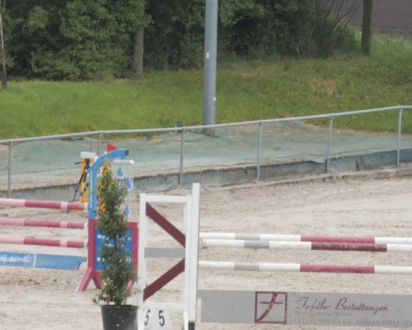 Reitturnier Harsum-Hüddessum 2021