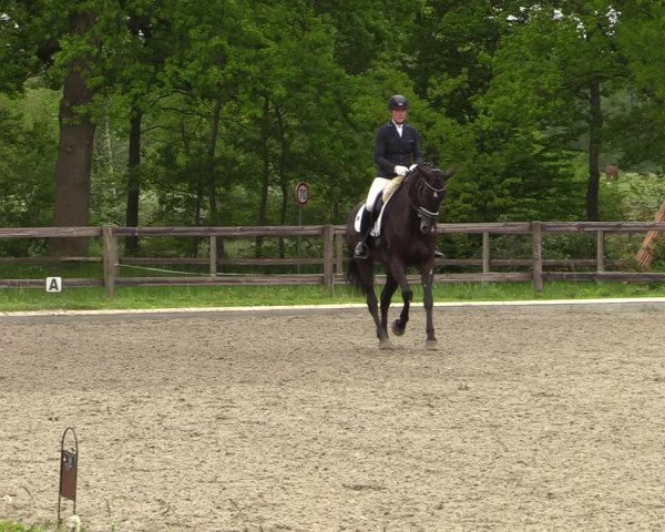 Reitturnier Schwanewede 2021