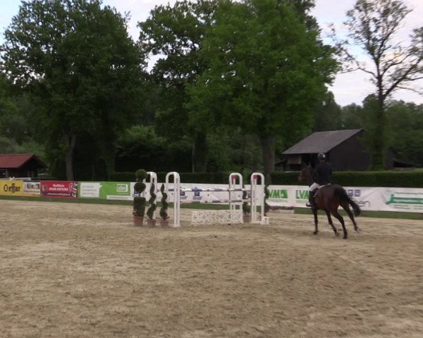Reitturnier Münster-Handorf 2021