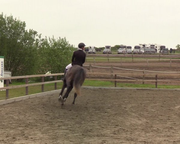 Reitturnier Kleinsolt 2021