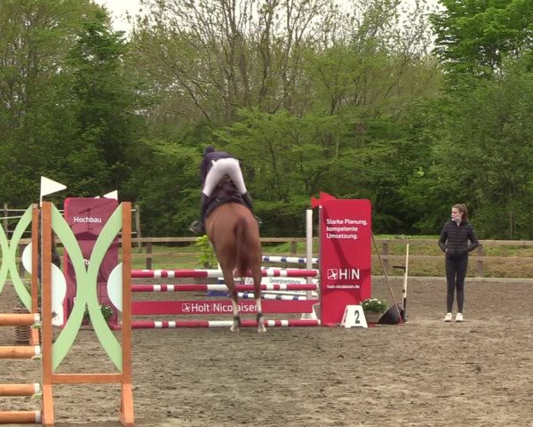Reitturnier Kleinsolt 2021