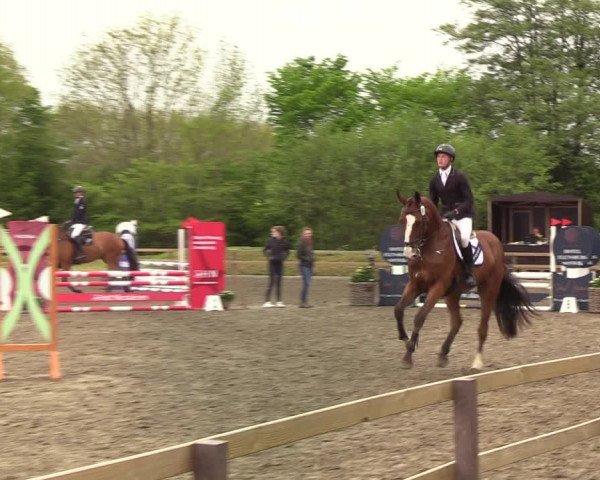 Reitturnier Kleinsolt 2021