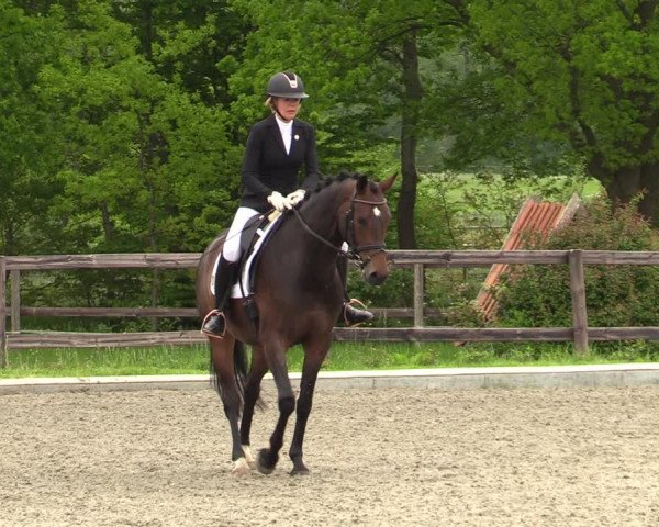 Reitturnier Schwanewede 2021