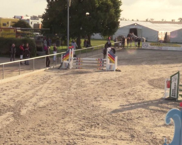 Springreitturnier Hohburg 2021