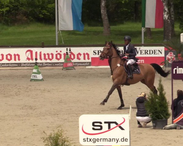 Reitturnier Westergellersen 2021