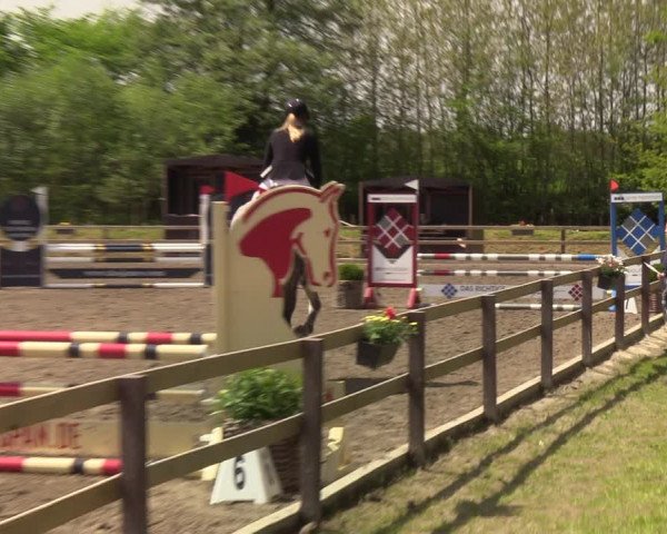 Reitturnier Kleinsolt 2021
