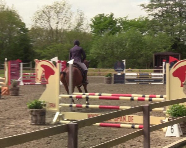 Reitturnier Kleinsolt 2021