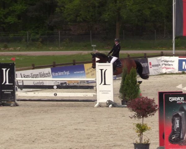 Reitturnier Westergellersen 2021