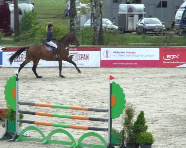Reitturnier Westergellersen 2021
