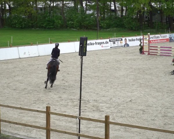 Reitturnier Westergellersen 2021