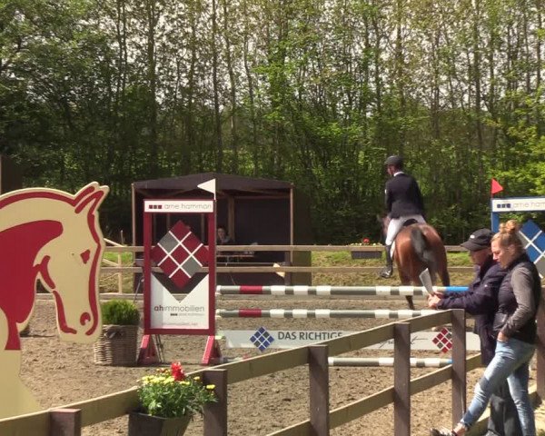 Reitturnier Kleinsolt 2021