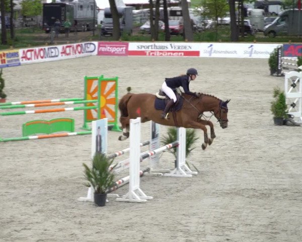 Reitturnier Westergellersen 2021