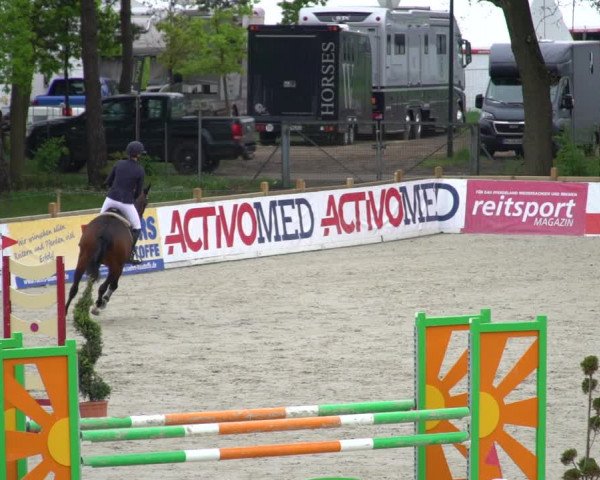Reitturnier Westergellersen 2021