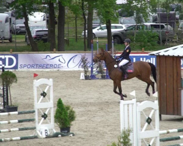 Reitturnier Westergellersen 2021