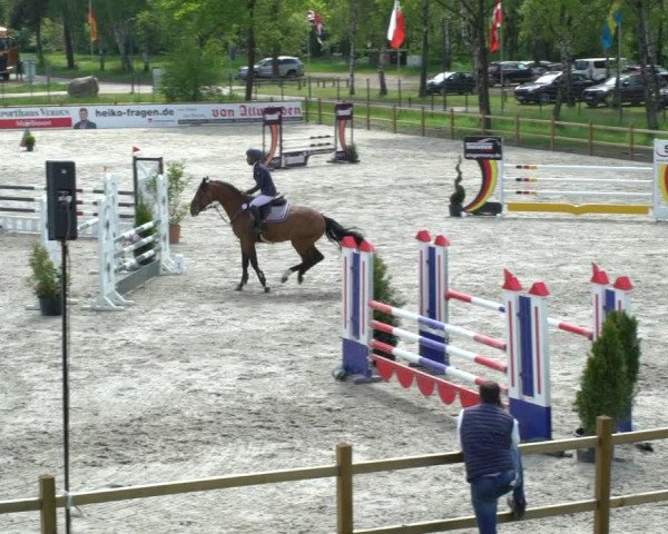 Reitturnier Westergellersen 2021