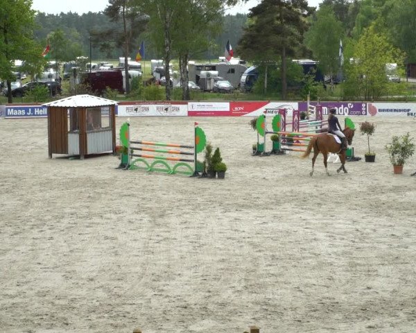 Reitturnier Westergellersen 2021