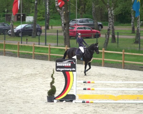 Reitturnier Westergellersen 2021