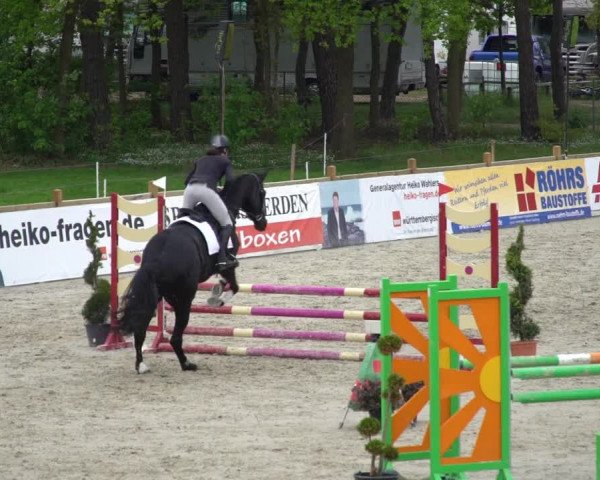 Reitturnier Westergellersen 2021