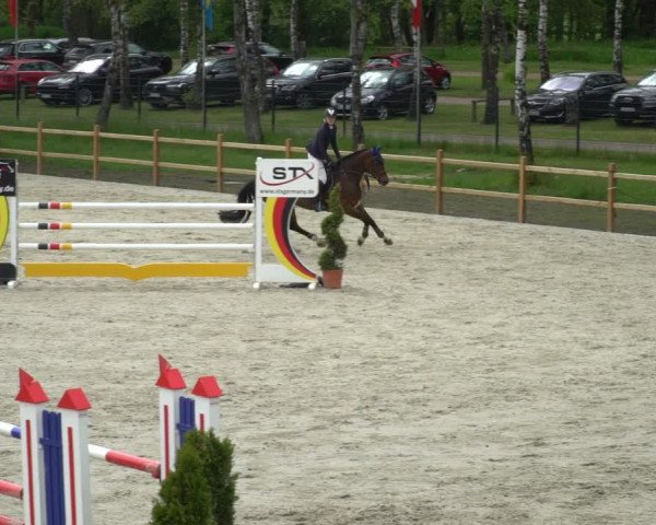 Reitturnier Westergellersen 2021