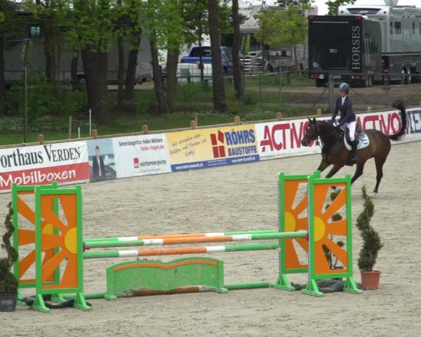 Reitturnier Westergellersen 2021