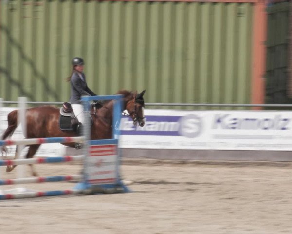 Reitturnier Harsum-Hüddessum 2021