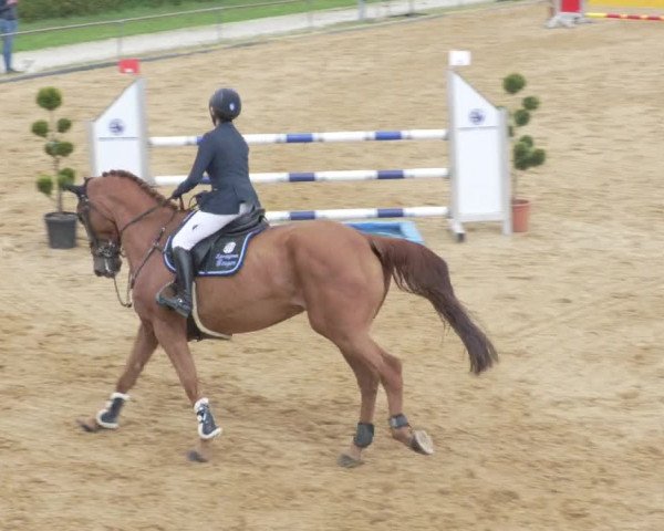 Reitturnier Zoltingen/Schw. 2021