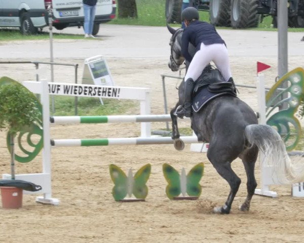 Reitturnier Zoltingen/Schw. 2021