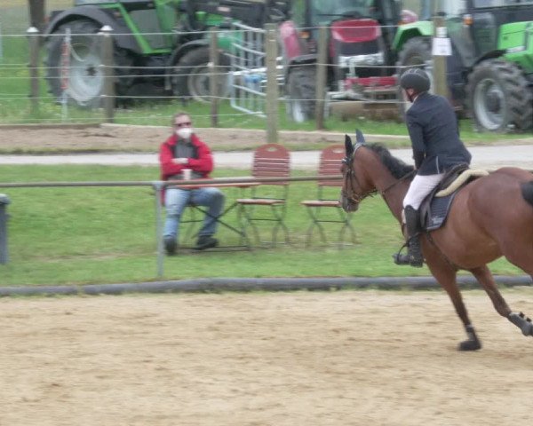 Reitturnier Zoltingen/Schw. 2021
