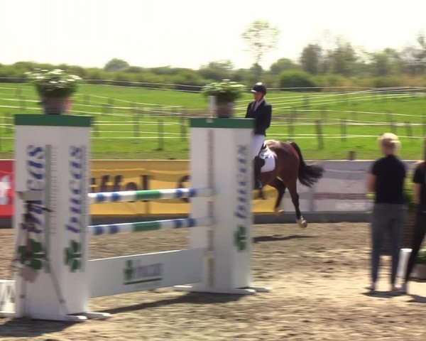 Reitturnier Kleinsolt 2021
