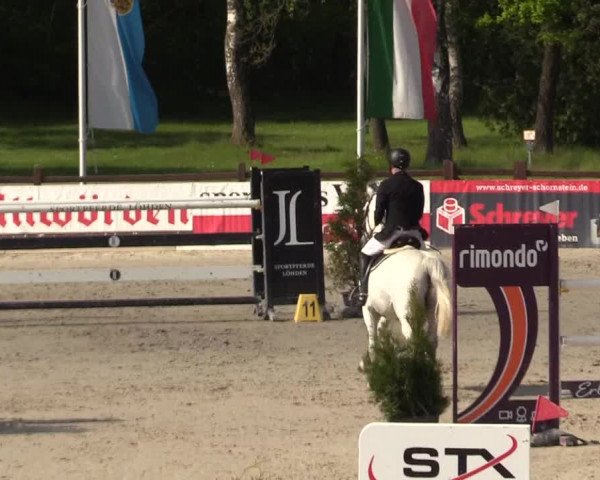 Reitturnier Westergellersen 2021