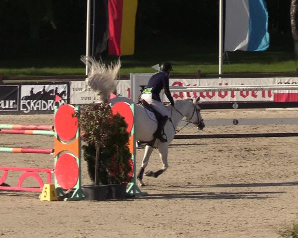 Reitturnier Westergellersen 2021